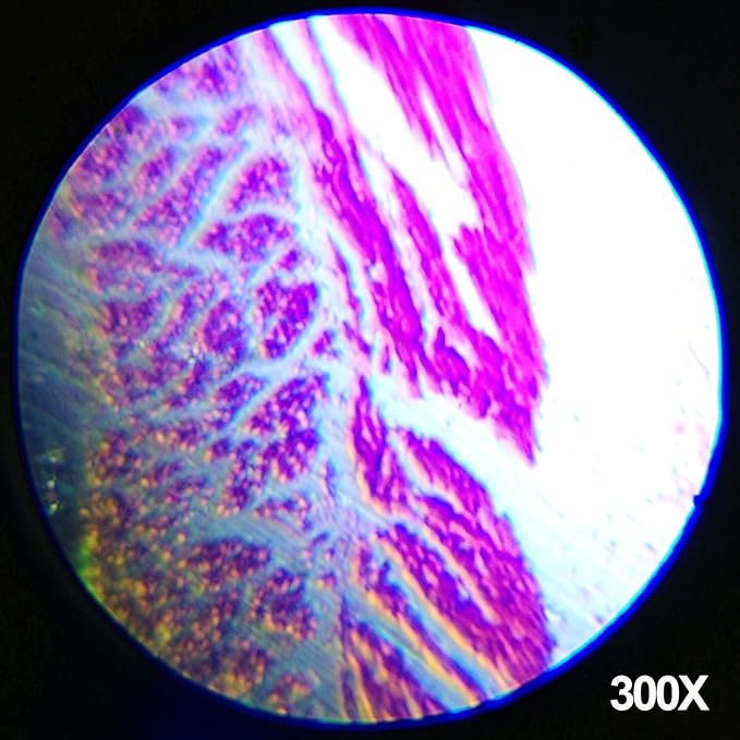 AmScope M30-ABS-KT2-WM 1200X 52 pc Microscope Science Kit + World of The | 120X-1200X Magnification Range