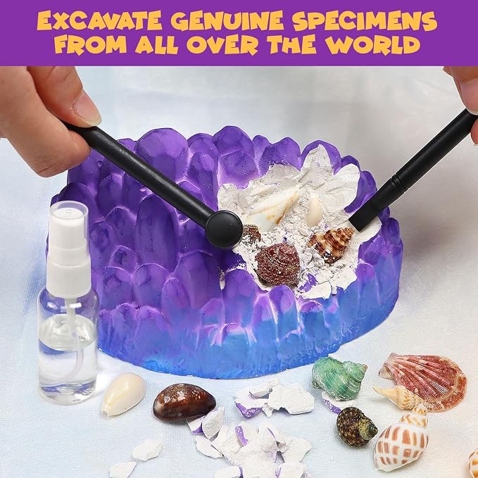 PIBEX Ocean Fossil Dig Kit, Dig up 20+ Real Shells & Seasnails, STEM Educational Activity Set Sea Creatures Excavation Toy for Kids, Marine Biology Geology Science Kit, Gift for Boys and Girls Age 6+