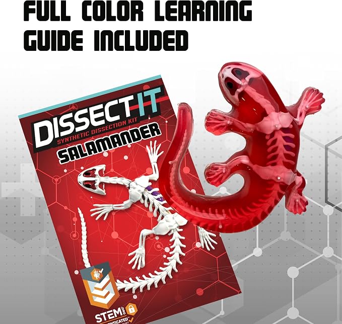 Top Secret Toys Dissect-It Mini Labs Salamander Dissection Kit for Kids, Realistic Synthetic Kids Science Kit - On, Biology and Animal Anatomy, STEM Toy, Ages 6+