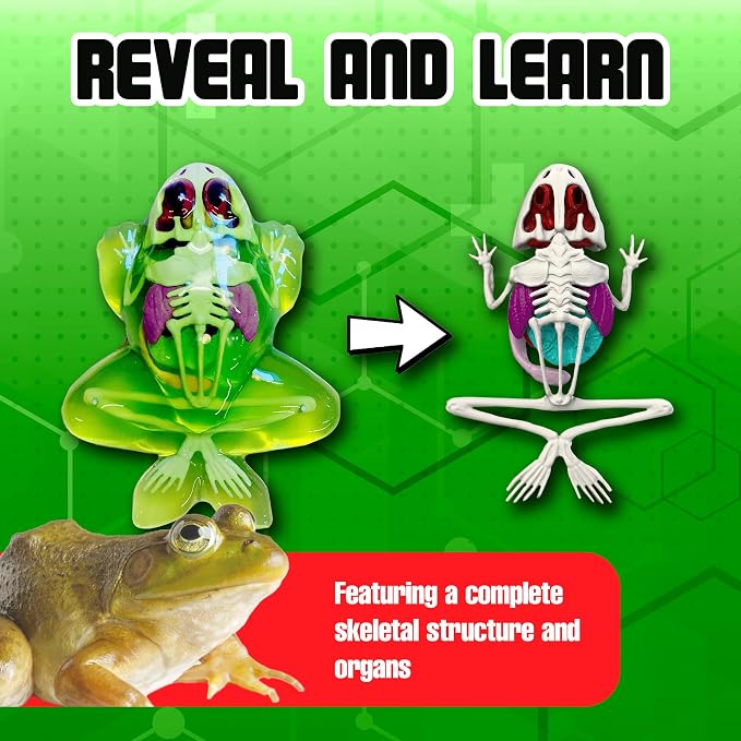 Top Secret Toys Dissect-It Mini Labs Frog Dissection Kit for Kids, Realistic Synthetic Kids Science Kit - On, Biology and Animal Anatomy, STEM Toy, Ages 6+