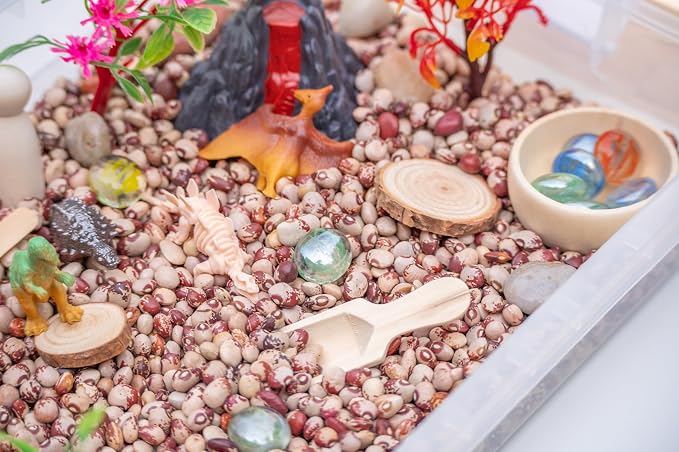 Dinosaur Sensory Bin Kit for Kids | Taste-Safe Pinto Beans, Fossil Skeletons, Trees, Volcano & Durable Wooden Tools – Includes Storage Bin