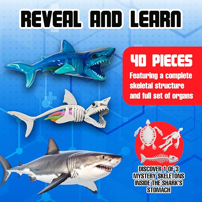 Dissect-It, Shark Dissection Kit, STEM Toys for Kids, Ages 6+ | Shark Anatomy, Examine Realistic Organs & Complete Skeleton, Then Rebuild with 2 Gel Refill Packs for STEM Learning