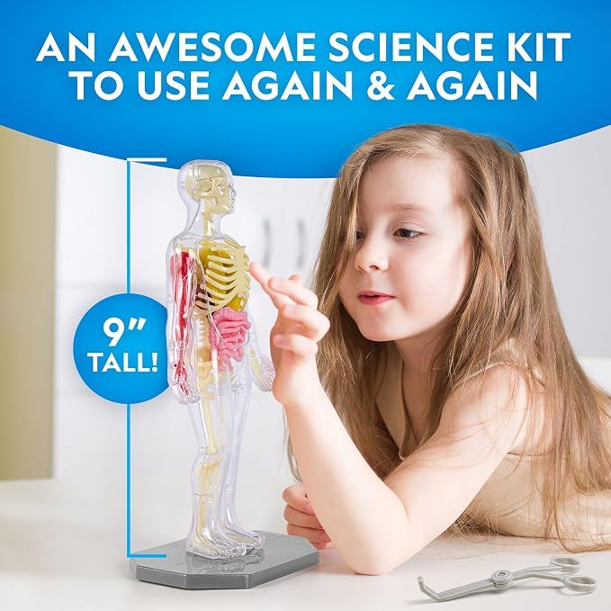 National Geographic Human Body Model for Kids 32-Piece Anatomy Set | Glow-in-the-Dark Bones, Organs & Muscles, Forceps and ID Chart, Anatomy and Physiology Learning, STEM Toy, Birthday Gift
