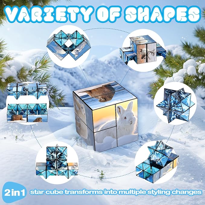 Euclidean Cube Fidget Toys for Kids 2 in 1 Star Cube Magic Cube Puzzle Toys | Fidget Cube for Kids and Adults, Yoshimoto Cube Travel Toy Stress Relief for All Age, Birthday Gifts for Boys Girls Ages 8-12