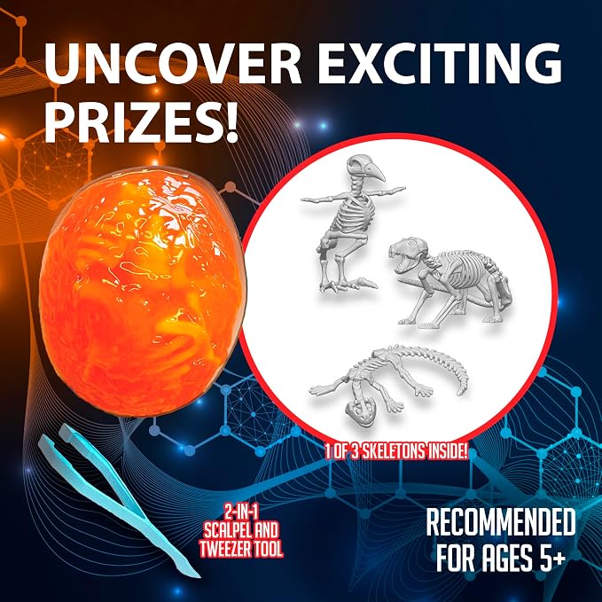 Discover-It Owl Pellet, Science Lab Kit, STEM Toys for Kids, Ages 5+ | Synthetic Bones: Open a realistic owl pellet to discover hidden bones while learning about owls, food chains, and STEM