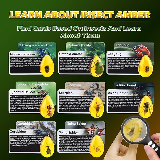 Woumserta Amber Dig Kits, Bugs Toys for Kids 5-7, 8 Insects Specimens Gifts | Fossil Dig Toys Bugs Science Kits for Bug Collection, Insect Toys for Boys Girls 5-7 8-12 Year Old Birthday Gifts