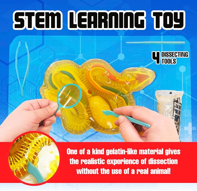 Dissect-It, Rattlesnake Dissection Kit, STEM Toys for Kids, Ages 6+ | Rattlesnake Anatomy, Examine Realistic Organs & Complete Skeleton, Then Rebuild with 2 Gel Refill Packs for STEM Learning