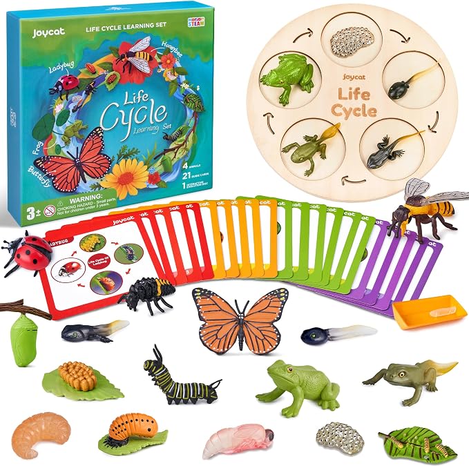 JoyCat Life Cycle Learning Education Toys, Insect Caterpillar to Butterfly kit, Ladybug, Bee, Tadpole to Frog Kit Life Cycle Toys for Kids, Preschool Learning Activities for Age 3 4 5 6 7 8 | Explore butterfly, frog, ladybug and bee stages with 21 card...