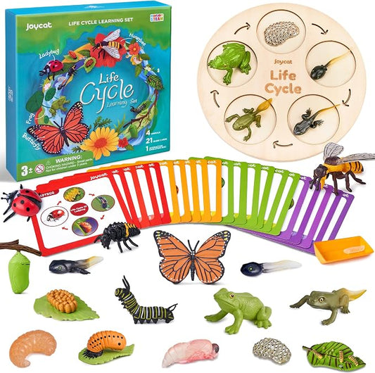 JoyCat Life Cycle Learning Education Toys, Insect Caterpillar to Butterfly kit, Ladybug, Bee, Tadpole to Frog Kit Life Cycle Toys for Kids, Preschool Learning Activities for Age 3 4 5 6 7 8 | Explore butterfly, frog, ladybug and bee stages with 21 card...