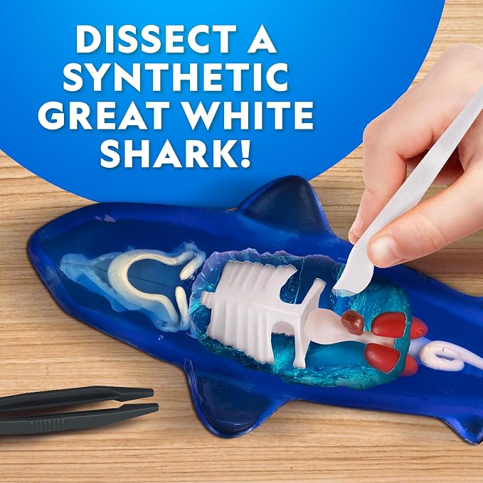 National Geographic Glow-in-the-Dark Shark Dissection Kit for Kids | Glow-in-the-Dark Great White Model, 12 Bones and Organs, Refill Pack, Kid-Friendly Tools, Shark Anatomy, Birthday Gift