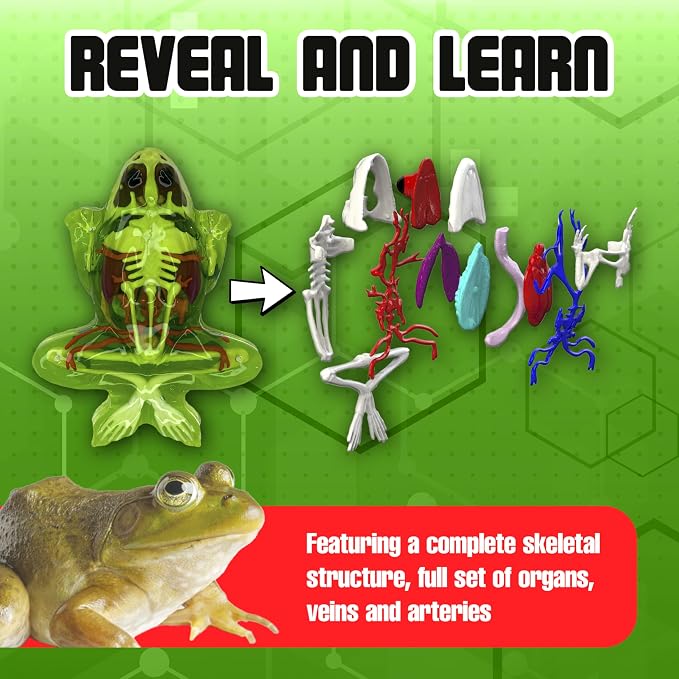 Dissect-It, Premium Frog Dissection Kit, STEM Toys for Kids, Ages 6+ | Examine Realistic Frog Organs & Complete Skeleton Using the Deluxe Frog, Dissection Tray, More Tools & 2 Gel Refill Packs