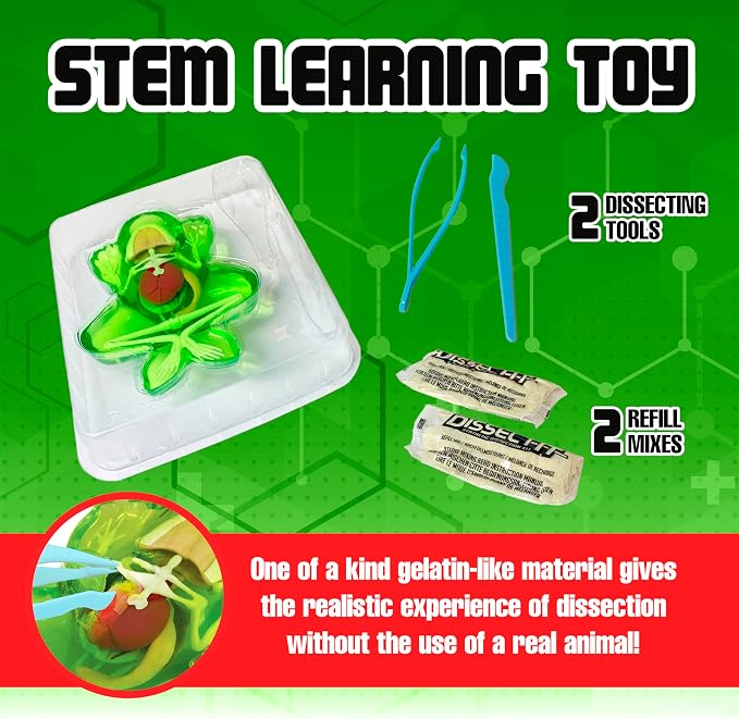 Dissect-It, Standard Frog Dissection Kit, STEM Toys for Kids, Ages 6+ | Animal Anatomy Learning, Explore realistic frog organs and a complete skeleton while building biology and STEM skills.