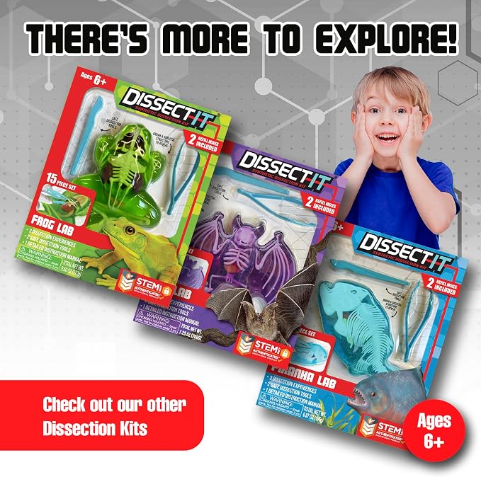 Dissect-It Kit for Kids, Simulated Synthetic Lab Dissection Toy, Salamander STEM Toys for Animal Science, Biology, and Anatomy | Salamander Anatomy, Examine Realistic Organs & Complete Skeleton, Then Rebuild with 2 Gel Refill Packs for STEM Learning