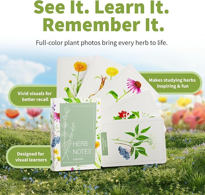 Herb Notes Plant Identification Cards, 48 Illustrated Botanical Flash Cards | Herb Cards for Plant Identification, Nature Study & Classroom Learning, Compatible with Learning Herbs Wildcraft! Board Game
