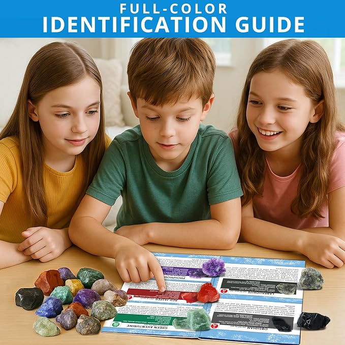 PIBEX Rock Collection Jumbo Kit, 20 Large Raw Rocks & Minerals | Approx. 1.5-2 inch Stone, Collector Box with Name Labels, Magnifier, Game Cards, Learning Book, Geology Gift for Kids Ages 6+