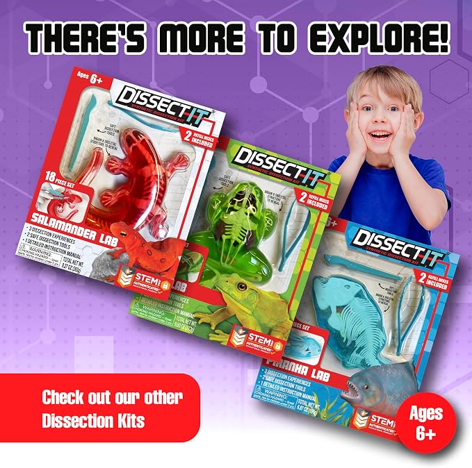 Dissect-It, Bat Dissection Kit, STEM Toys for Kids, Ages 6+ | Examine Realistic Bat Organs & Complete Skeleton, Then Rebuild with 2 Gel Refill Packs for Reusable STEM Learning