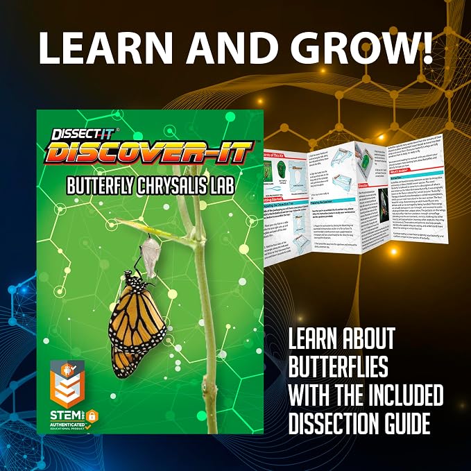 Discover it Butterfly, Science Lab Kit, STEM Toys for Kids, Ages 5+ | Butterfly Life Cycle: Open a synthetic chrysalis to discover butterfly stages while learning about metamorphosis and STEM