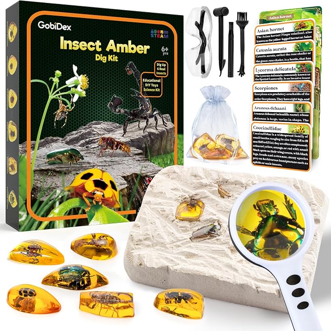 GobiDex Amber Dig Kit for Kids Ages 6+, Excavate 6 Insects Specimens | STEM Geographic Educational Bugs Toys, Excavation Toys for Fun Bugs Party Favors, Science Kits for Kids Age 6-8 8-12