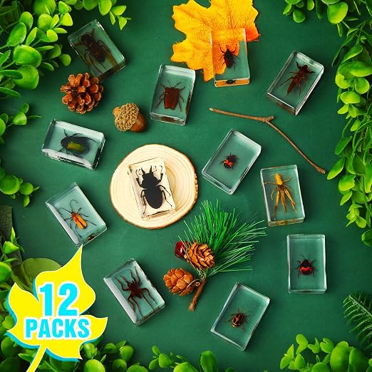 12 Pcs Insect Specimens for Kids Bug Collection Kit Real Specimens of Various Butterflies Beetles, Kids Biology Science Educational Toy, Back to School Gift for Classroom Teacher Student(Insect)