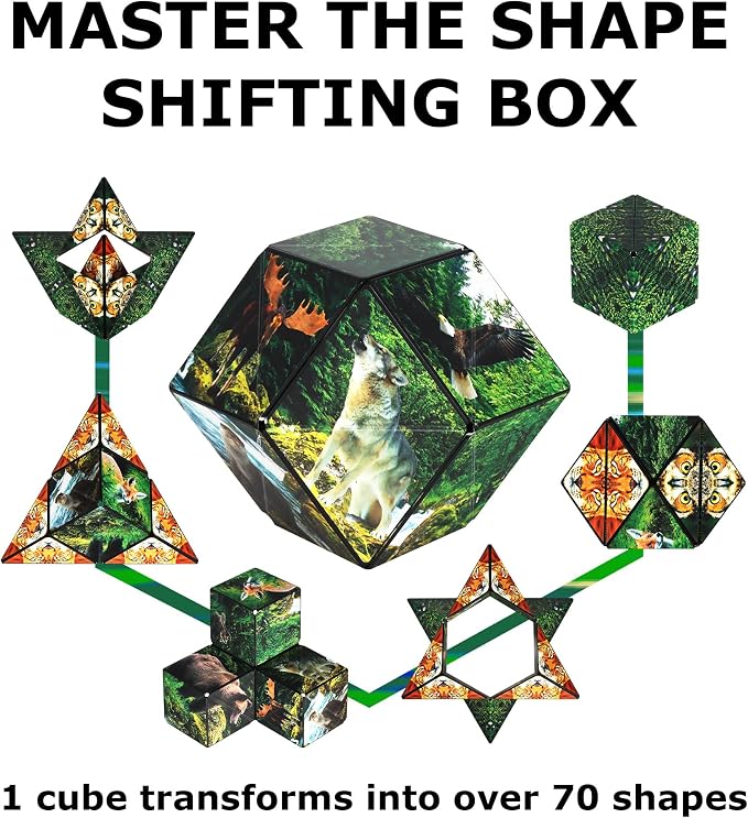 Shashibo DODECA Magnetic Puzzle Cube, Stress Relief Fidget Toy | 100+ Possible Shapes, Sensory Fidget Toy For Adults & Kids, Fun Shape Shifting Puzzle Box For All Ages