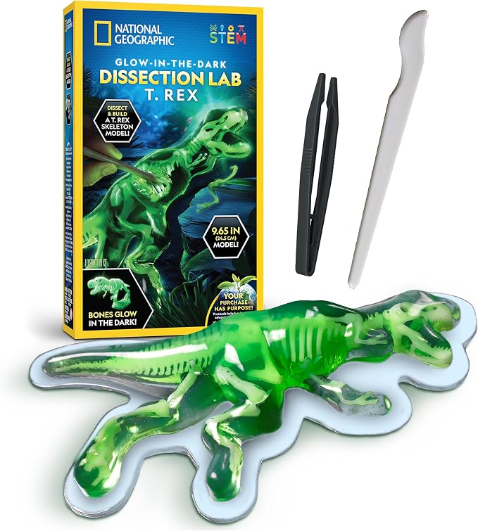 National Geographic Glow-in-the-Dark T. Rex Dissection Lab Kit for Kids | Synthetic Dinosaur, 9.5-Inch Glowing Skeleton Model, Refill Pack, Dinosaur Anatomy, STEM Activity, Birthday Gift