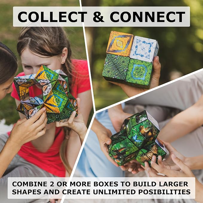 Shashibo DODECA Magnetic Puzzle Cube, Stress Relief Fidget Toy | 100+ Possible Shapes, Sensory Fidget Toy For Adults & Kids, Fun Shape Shifting Puzzle Box For All Ages
