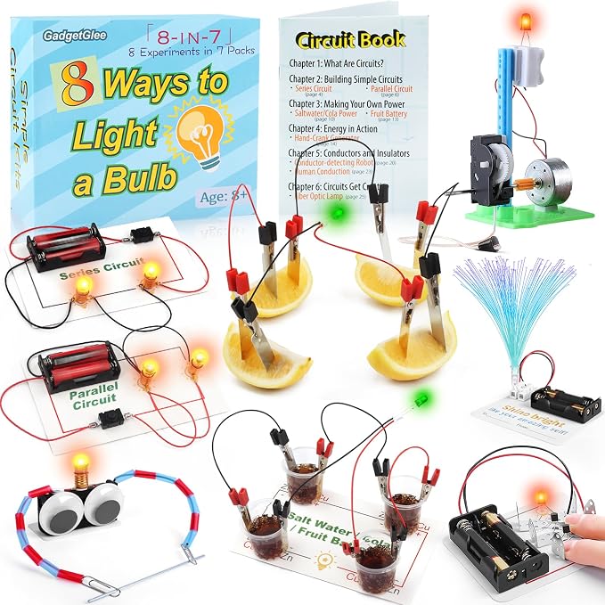 STEM Electric Circuit Kit, Electricity Science Project Light Bulb Experiments for Kids Teens, Electrical Engineering Kits Age 8-12 12-14, Fruit Energy Projects Circuits Experiment