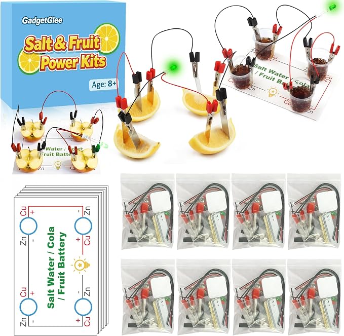 8 Set Science Circuit Kits, STEM Kit Fruit Saltwater Battery Potato Lemon Light Bulb Experiments for Kids 8-12, Circuits for Class Electricity Projects 9 10 11 12 Year Old