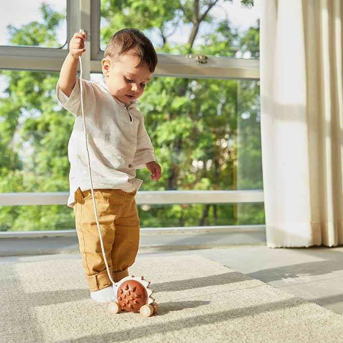 PlanToys® Wooden Pull Along Hedgehog Montessori Toddler Walking Kids Set | rolling wheels, toddler pull toys, sound design, girls, boys, gross motor balance & coordination learning gift for kids