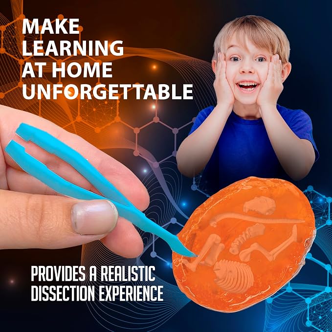 Discover-It Owl Pellet, Science Lab Kit, STEM Toys for Kids, Ages 5+ | Synthetic Bones: Open a realistic owl pellet to discover hidden bones while learning about owls, food chains, and STEM