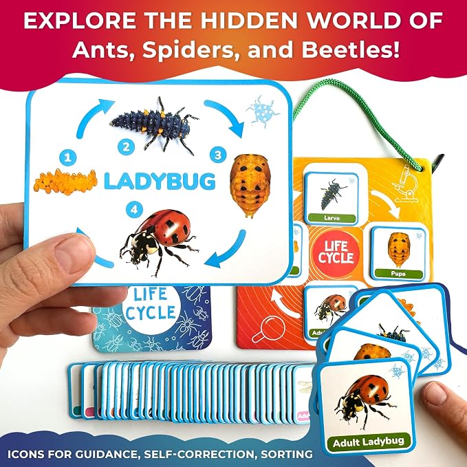 Life Cycle Toys for Kids — Magnetic Flash Cards Science Kits for Kids 3-5 | Montessori Kit with 30 Toddler Science Activities — 120 Magnetic Animal Learning Materials for Preschool Classroom
