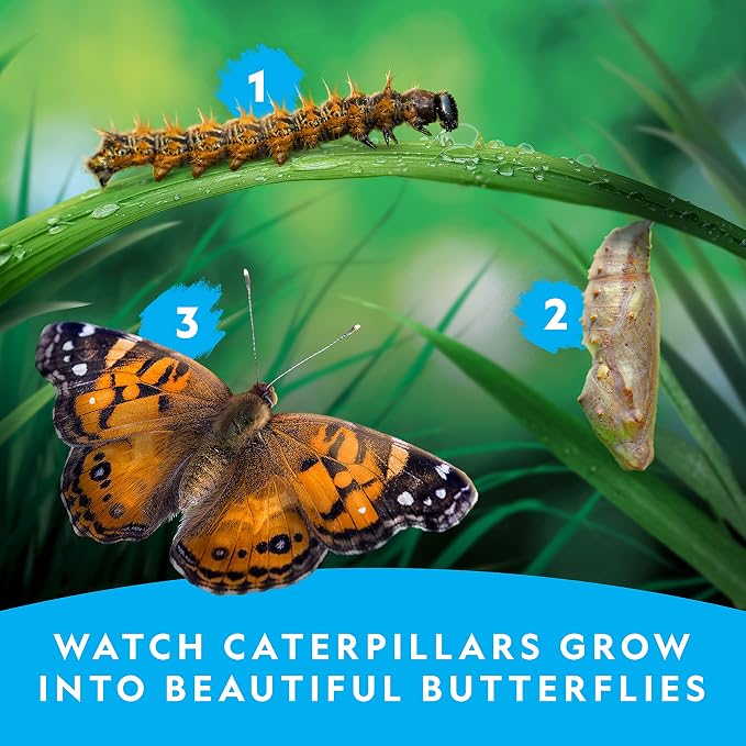 National Geographic Butterfly Growing Kit for Kids Nature Activity | Mesh Habitat, Voucher for 5 Live Caterpillars, Feeder Dish and Sponge, Metamorphosis Science, Outdoor Learning
