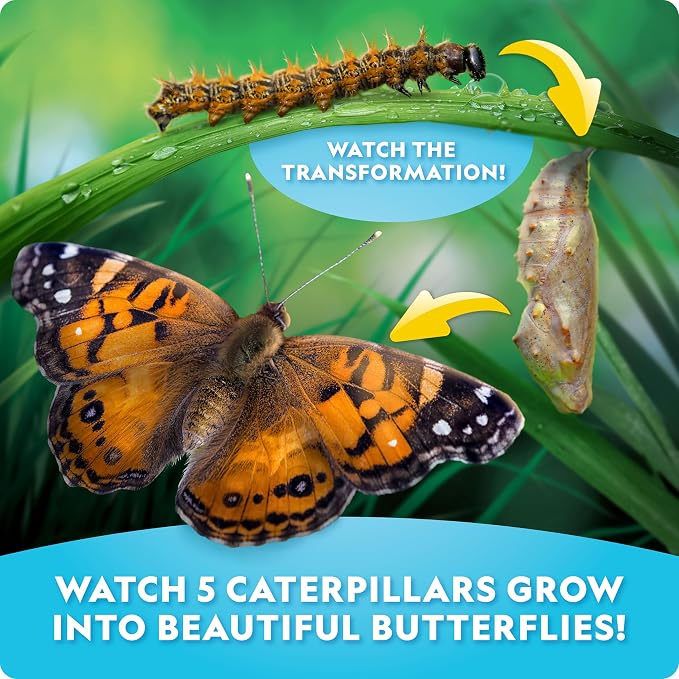 National Geographic Ultimate Butterfly Growing Habitat Kit for Kids | Voucher for 5 Caterpillars, Mesh Butterfly Habitat, Glow-in-the-Dark Figures, Metamorphosis Science, Outdoor Learning