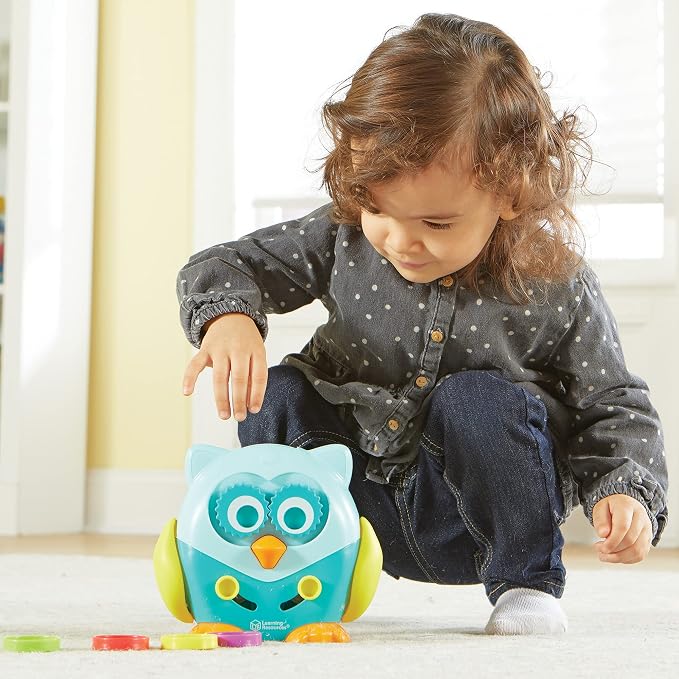 Learning Resources Hoot the Fine Motor Owl
