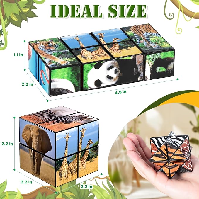 Euclidean Cube Fidget Toys for Kids 2 in 1 Star Cube Magic Cube Puzzle Toys | Fidget Cube for Kids and Adults, Yoshimoto Cube Animal Travel Toy Stress Relief for All Age, Gifts for Boys Girls Ages 8-12