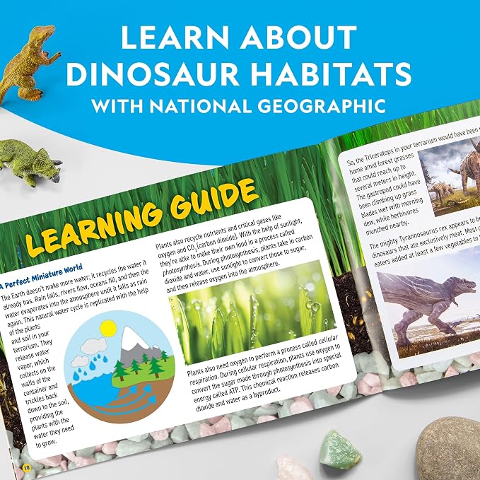National Geographic Light-Up Dinosaur Terrarium Kit for Kids Ages 6+ | Real Plants and Gemstones, Night Light, Dino Habitat, DIY Science Activity, Dinosaur Toys, Birthday Gift