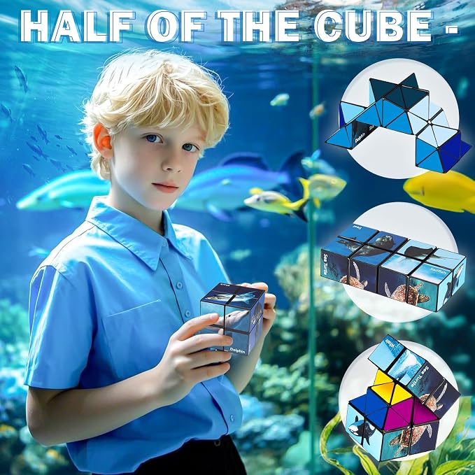 Euclidean Cube Fidget Toys for Kids 2 in 1 Star Cube Magic Cube Puzzle Toys | Fidget Cube for Kids and Adults, Yoshimoto Cube Ocean Travel Toy Stress Relief for All Age, Gifts for Boys Girls Ages 8-12