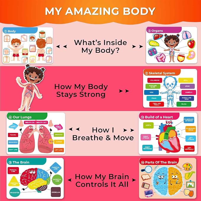 Montessori Busy Book for Kids Ages 4-8 — My Preschool Toddler Busy Book 3-5 | Velcro Human Body Anatomy Busy Book for Learning at Home or Classrooms — Kids Busy Books Come Fully Assembled