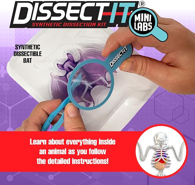 Top Secret Toys Dissect-It Mini Labs Bat Lab Dissection Kit for Kids, Realistic Synthetic Kids Science Kit - On, Biology and Animal Anatomy, STEM Toy, Ages 6+