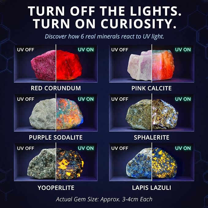 PIBEX Fluorescent Rock Science Kit, 6 Glowing Rocks, with UV Flashlight | 365nm UV Reactive Minerals ~1.5" Each, Fluorescence Experiment, Light-up Science Toy, STEM Geology Gift for Kids Ages 6-8-12