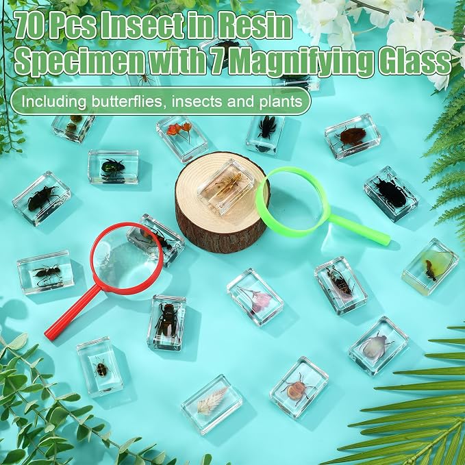 Lineshading 70 Pcs Insect in Resin Specimen with 7 Magnifying Glass Various Bugs Collection Paperweights Bug Kit Preserved in Resin for Kids Scientific Educational Classroom Display Collection
