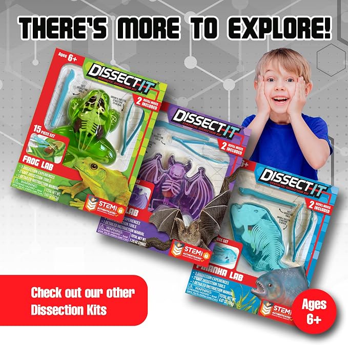 Top Secret Toys Dissect-It Mini Labs Salamander Dissection Kit for Kids, Realistic Synthetic Kids Science Kit - On, Biology and Animal Anatomy, STEM Toy, Ages 6+