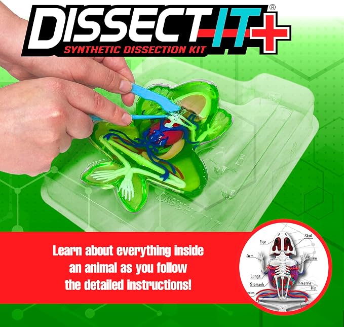 Dissect-It, Deluxe Frog Dissection Kit, STEM Toys for Kids, Ages 6+ | Examine Realistic Frog Organs, Veins, Arteries & Complete Skeleton, Then Rebuild with 2 Included Gel Refill Packs