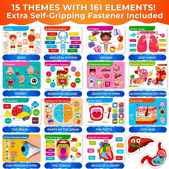 Montessori Busy Book for Kids Ages 4-8 — My Preschool Toddler Busy Book 3-5 | Velcro Human Body Anatomy Busy Book for Learning at Home or Classrooms — Kids Busy Books Come Fully Assembled