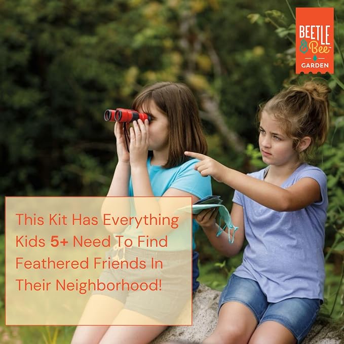 Beetle & Bee Bird Watching Kit For Kids 4x30 Binoculars Nature Toy Ages 5+ | Outdoor Explorer Gear, Backyard Birding Activities, Starter Observation Play, Travel Discovery Trips, Young Naturalist Gifts.