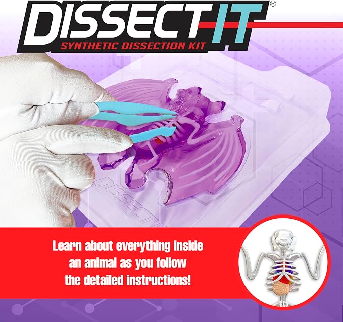 Dissect-It, Bat Dissection Kit, STEM Toys for Kids, Ages 6+ | Examine Realistic Bat Organs & Complete Skeleton, Then Rebuild with 2 Gel Refill Packs for Reusable STEM Learning