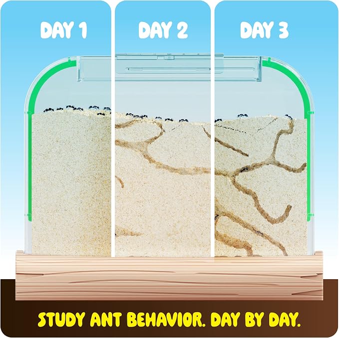 Ant Farm Kit for Kids - Farms Colony - Includes Ants Voucher - Sand Habitat | Bug Terrarium House - Educational Science Gifts for Kid - Nature Learning Toys for Boys, Girls & Adults