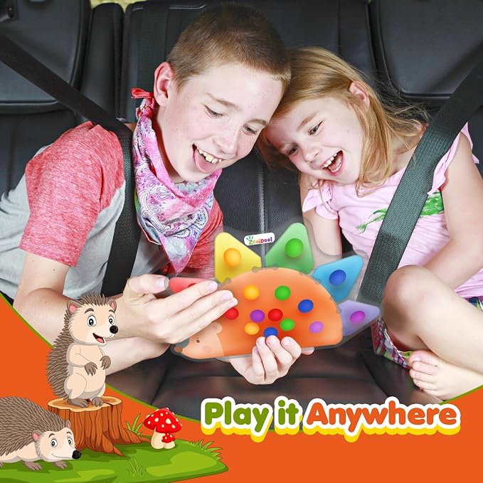 Color Sorting Sensory Toys for Kids Roadtrip Travel Essenstial for Toddler | Squeeze Toys Color Matching Game Preschool Activities Calm Down Montessori Toy for Classroom Prize Boy Girl Gifts Ages 3+