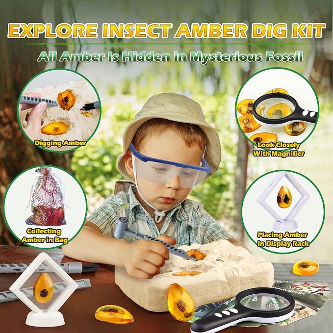 Woumserta Amber Dig Kits, Bugs Toys for Kids 5-7, 8 Insects Specimens Gifts | Fossil Dig Toys Bugs Science Kits for Bug Collection, Insect Toys for Boys Girls 5-7 8-12 Year Old Birthday Gifts