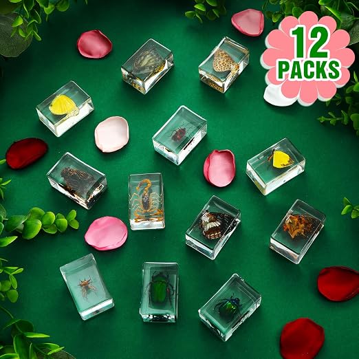 12 Pcs Insect Specimens for Kids Bug Collection Kit Real Specimens of Various Butterflies Beetles, Kids Biology Science Educational Toy, Back to School Gift for Classroom Teacher Student(Butterfly)